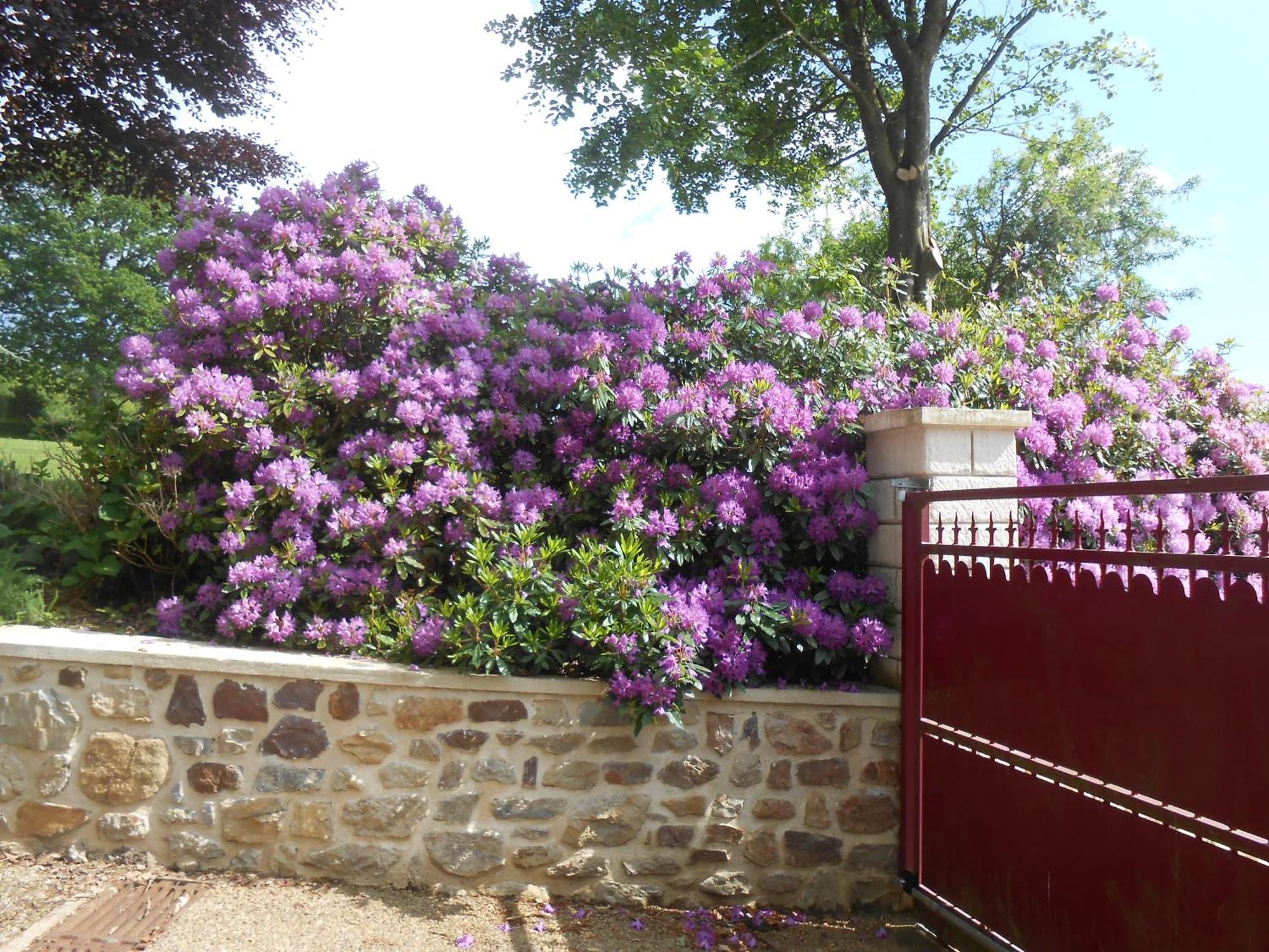 Maison Brix Luaran gambar